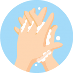 Wash hands  regularly with soap